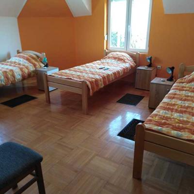 Dom Za Stare Beograd Vila Višnjica Sobe