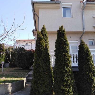 Dom Za Stare Beograd Vila Višnjica Zelenilo